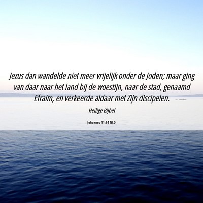 Picture 06 - Johannes 11:54 NLD - Jezus dan wandelde niet meer vrijelijk onder de - Bible Verse Picture