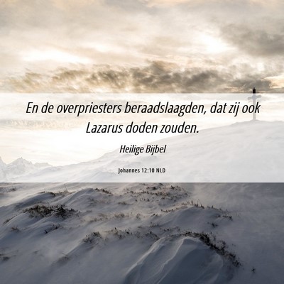 Picture 06 - Johannes 12:10 NLD - En de overpriesters beraadslaagden, dat zij ook - Bible Verse Picture
