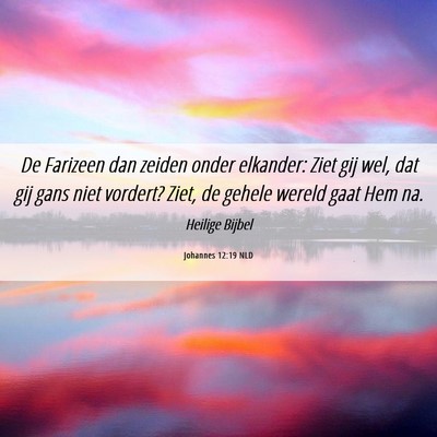 Picture 06 - Johannes 12:19 NLD - De Farizeen dan zeiden onder elkander: Ziet gij - Bible Verse Picture