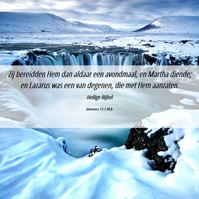 Picture 06 - Johannes 12:2 NLD - Zij bereidden Hem dan aldaar een avondmaal, en - Bible Verse Picture