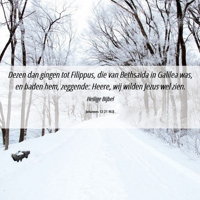 Picture 06 - Johannes 12:21 NLD - Dezen dan gingen tot Filippus, die van Bethsaida - Bible Verse Picture