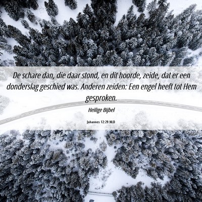 Picture 06 - Johannes 12:29 NLD - De schare dan, die daar stond, en dit hoorde, - Bible Verse Picture