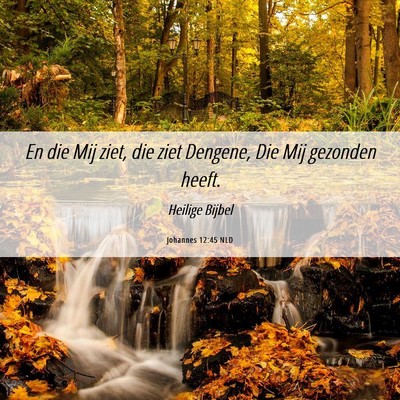 Picture 06 - Johannes 12:45 NLD - En die Mij ziet, die ziet Dengene, Die Mij - Bible Verse Picture