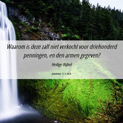 Picture 06 - Johannes 12:5 NLD - Waarom is deze zalf niet verkocht voor - Bible Verse Picture