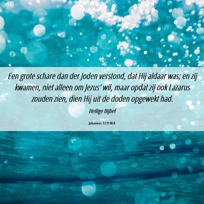 Picture 06 - Johannes 12:9 NLD - Een grote schare dan der Joden verstond, dat Hij - Bible Verse Picture