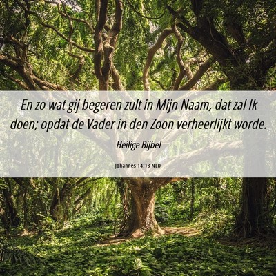 Picture 06 - Johannes 14:13 NLD - En zo wat gij begeren zult in Mijn Naam, dat zal - Bible Verse Picture