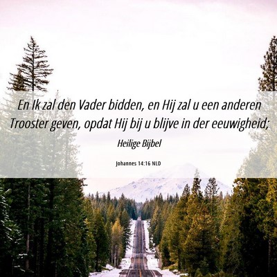 Picture 06 - Johannes 14:16 NLD - En Ik zal den Vader bidden, en Hij zal u een - Bible Verse Picture