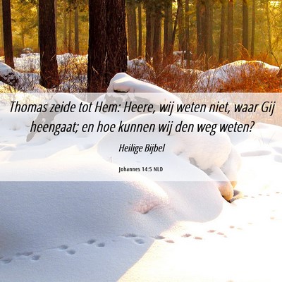 Picture 06 - Johannes 14:5 NLD - Thomas zeide tot Hem: Heere, wij weten niet, waar - Bible Verse Picture