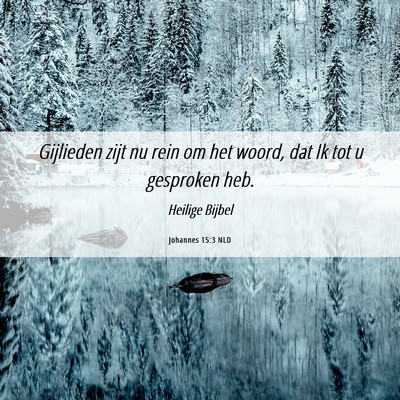 Picture 06 - Johannes 15:3 NLD - Gijlieden zijt nu rein om het woord, dat Ik tot u - Bible Verse Picture