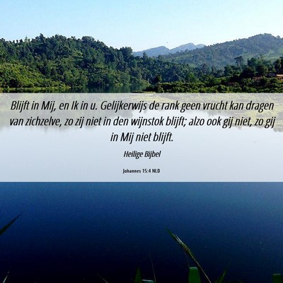Picture 06 - Johannes 15:4 NLD - Blijft in Mij, en Ik in u. Gelijkerwijs de rank - Bible Verse Picture