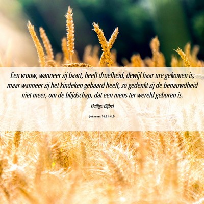 Picture 06 - Johannes 16:21 NLD - Een vrouw, wanneer zij baart, heeft droefheid, - Bible Verse Picture