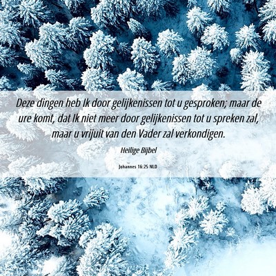 Picture 06 - Johannes 16:25 NLD - Deze dingen heb Ik door gelijkenissen tot u - Bible Verse Picture
