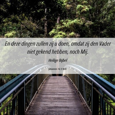 Picture 06 - Johannes 16:3 NLD - En deze dingen zullen zij u doen, omdat zij den - Bible Verse Picture