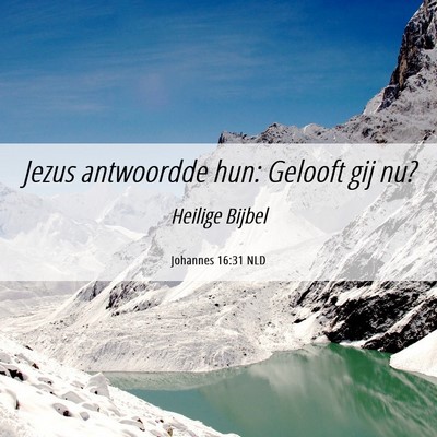 Picture 06 - Johannes 16:31 NLD - Jezus antwoordde hun: Gelooft gij - Bible Verse Picture