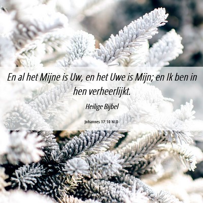 Picture 06 - Johannes 17:10 NLD - En al het Mijne is Uw, en het Uwe is Mijn; en Ik - Bible Verse Picture