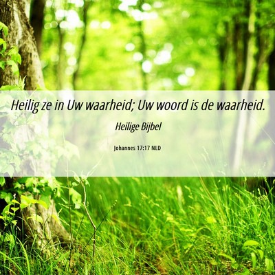 Picture 06 - Johannes 17:17 NLD - Heilig ze in Uw waarheid; Uw woord is de - Bible Verse Picture