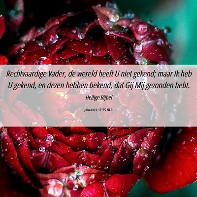 Picture 06 - Johannes 17:25 NLD - Rechtvaardige Vader, de wereld heeft U niet - Bible Verse Picture