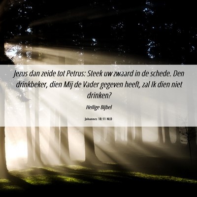 Picture 06 - Johannes 18:11 NLD - Jezus dan zeide tot Petrus: Steek uw zwaard in de - Bible Verse Picture