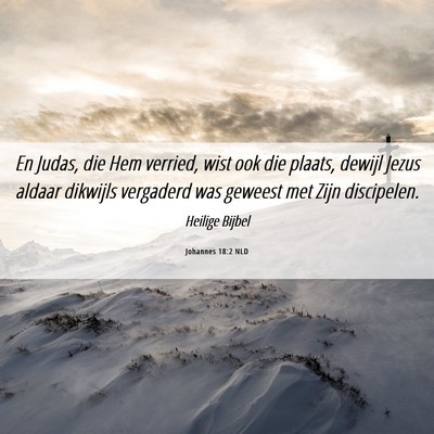 Picture 06 - Johannes 18:2 NLD - En Judas, die Hem verried, wist ook die plaats, - Bible Verse Picture