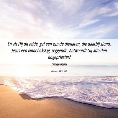 Picture 06 - Johannes 18:22 NLD - En als Hij dit zeide, gaf een van de dienaren, - Bible Verse Picture