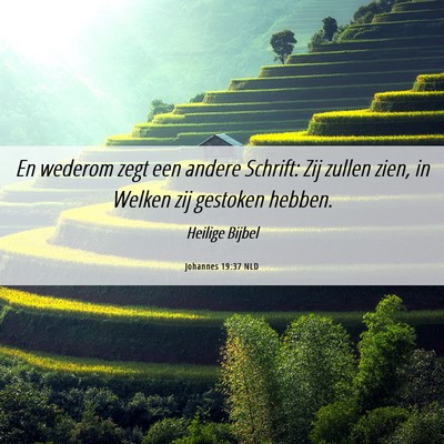 Picture 06 - Johannes 19:37 NLD - En wederom zegt een andere Schrift: Zij zullen - Bible Verse Picture
