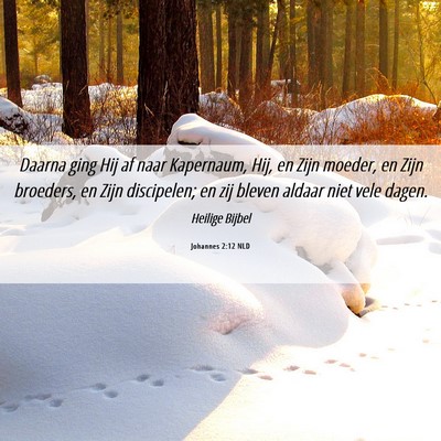 Picture 06 - Johannes 2:12 NLD - Daarna ging Hij af naar Kapernaum, Hij, en Zijn - Bible Verse Picture