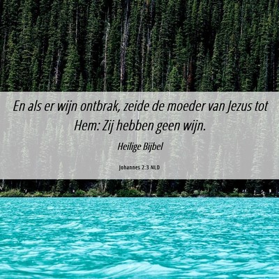 Picture 06 - Johannes 2:3 NLD - En als er wijn ontbrak, zeide de moeder van Jezus - Bible Verse Picture