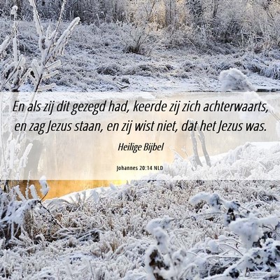 Picture 06 - Johannes 20:14 NLD - En als zij dit gezegd had, keerde zij zich - Bible Verse Picture