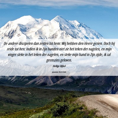 Picture 06 - Johannes 20:25 NLD - De andere discipelen dan zeiden tot hem: Wij - Bible Verse Picture