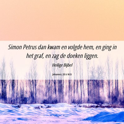 Picture 06 - Johannes 20:6 NLD - Simon Petrus dan kwam en volgde hem, en ging in - Bible Verse Picture