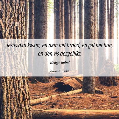 Picture 06 - Johannes 21:13 NLD - Jezus dan kwam, en nam het brood, en gaf het hun, - Bible Verse Picture