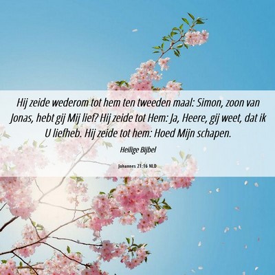 Picture 06 - Johannes 21:16 NLD - Hij zeide wederom tot hem ten tweeden maal: - Bible Verse Picture