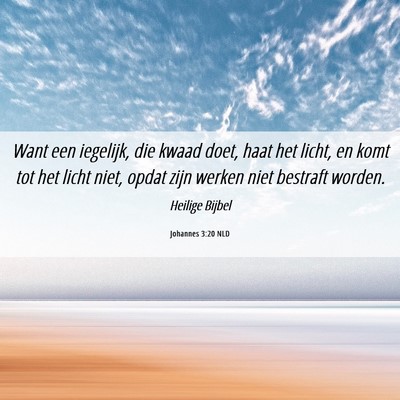 Picture 06 - Johannes 3:20 NLD - Want een iegelijk, die kwaad doet, haat het - Bible Verse Picture