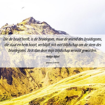 Picture 06 - Johannes 3:29 NLD - Die de bruid heeft, is de bruidegom, maar de - Bible Verse Picture