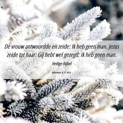 Picture 06 - Johannes 4:17 NLD - De vrouw antwoordde en zeide: Ik heb geen man. - Bible Verse Picture