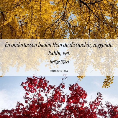 Picture 06 - Johannes 4:31 NLD - En ondertussen baden Hem de discipelen, zeggende: - Bible Verse Picture
