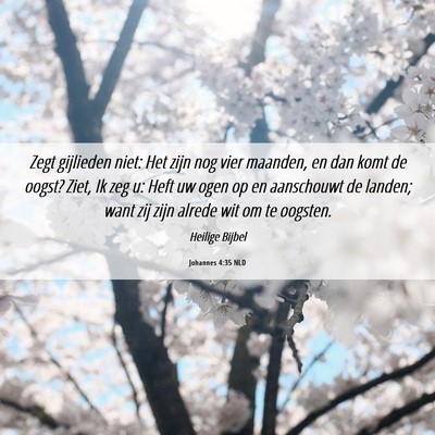 Picture 06 - Johannes 4:35 NLD - Zegt gijlieden niet: Het zijn nog vier maanden, - Bible Verse Picture