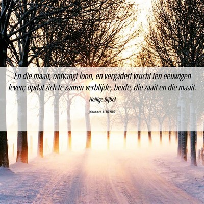 Picture 06 - Johannes 4:36 NLD - En die maait, ontvangt loon, en vergadert vrucht - Bible Verse Picture