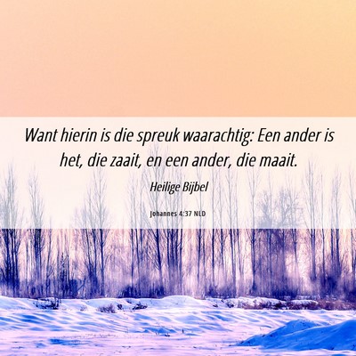 Picture 06 - Johannes 4:37 NLD - Want hierin is die spreuk waarachtig: Een ander - Bible Verse Picture