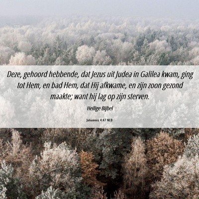 Picture 06 - Johannes 4:47 NLD - Deze, gehoord hebbende, dat Jezus uit Judea in - Bible Verse Picture