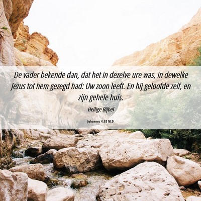 Picture 06 - Johannes 4:53 NLD - De vader bekende dan, dat het in dezelve ure was, - Bible Verse Picture