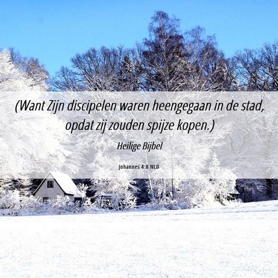 Picture 06 - Johannes 4:8 NLD - (Want Zijn discipelen waren heengegaan in de - Bible Verse Picture
