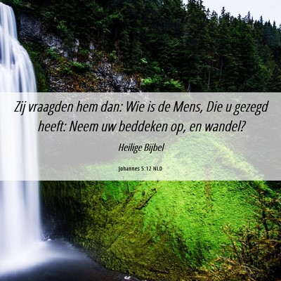 Picture 06 - Johannes 5:12 NLD - Zij vraagden hem dan: Wie is de Mens, Die u - Bible Verse Picture