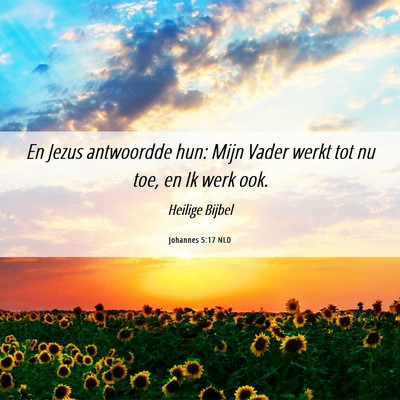 Picture 06 - Johannes 5:17 NLD - En Jezus antwoordde hun: Mijn Vader werkt tot nu - Bible Verse Picture