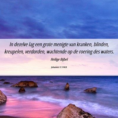 Picture 06 - Johannes 5:3 NLD - In dezelve lag een grote menigte van kranken, - Bible Verse Picture