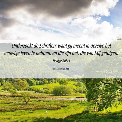 Picture 06 - Johannes 5:39 NLD - Onderzoekt de Schriften; want gij meent in - Bible Verse Picture