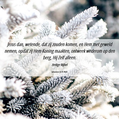Picture 06 - Johannes 6:15 NLD - Jezus dan, wetende, dat zij zouden komen, en Hem - Bible Verse Picture