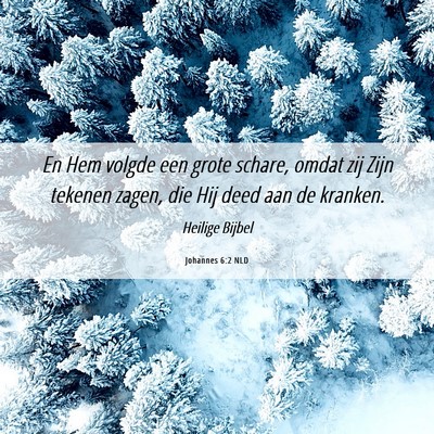 Picture 06 - Johannes 6:2 NLD - En Hem volgde een grote schare, omdat zij Zijn - Bible Verse Picture