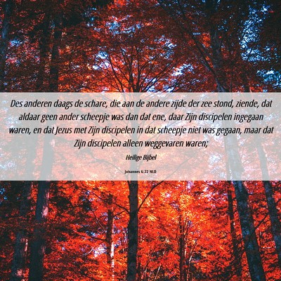 Picture 06 - Johannes 6:22 NLD - Des anderen daags de schare, die aan de andere - Bible Verse Picture