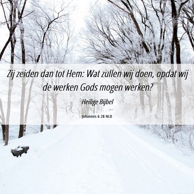 Picture 06 - Johannes 6:28 NLD - Zij zeiden dan tot Hem: Wat zullen wij doen, - Bible Verse Picture